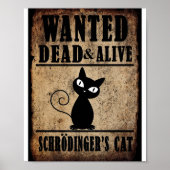 Gezocht dood of levend Poster van de Schrodinger (Voorkant)