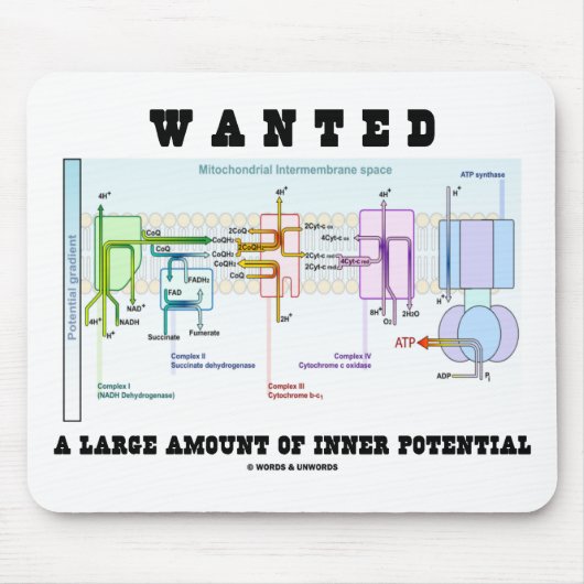 Gezocht een grote hoeveelheid intern potentieel muismat (Voorkant)