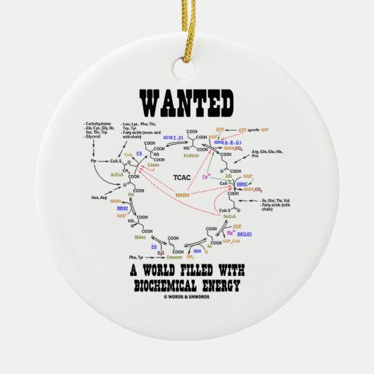 Gezocht een wereld vol met biochemische energie keramisch ornament (Voorkant)