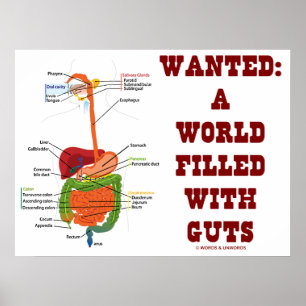 Gezocht: Een wereld vol met darmen (anatomische in Poster