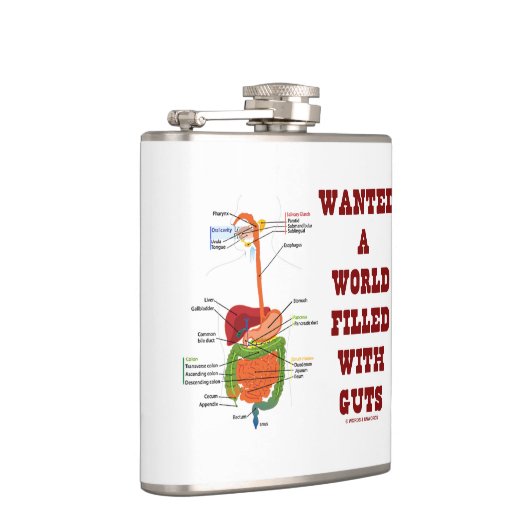 Gezocht een wereld vol met darmen (spijsverterings heupfles (Rechts)