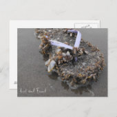 Gezocht en Gevonden Briefkaart (Voorkant / Achterkant)