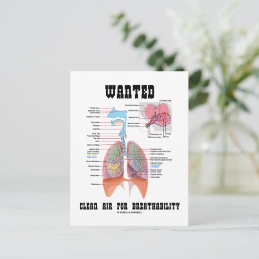 Gezocht heldere lucht voor ademend vermogen (respi briefkaart (Staand voorkant)
