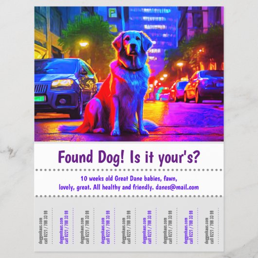 Gezocht Hond Grafisch Ontwerp Poster Flyer (Voorkant)
