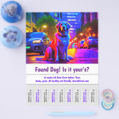 Gezocht Hond Grafisch Ontwerp Poster Flyer (Enkel)