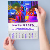 Gezocht Hond Grafisch Ontwerp Poster Flyer (Hand)