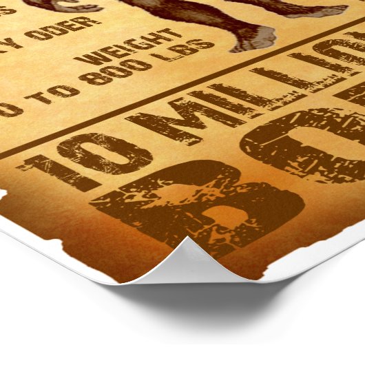 Gezocht Poster 10 miljoen dollar (Hoek)