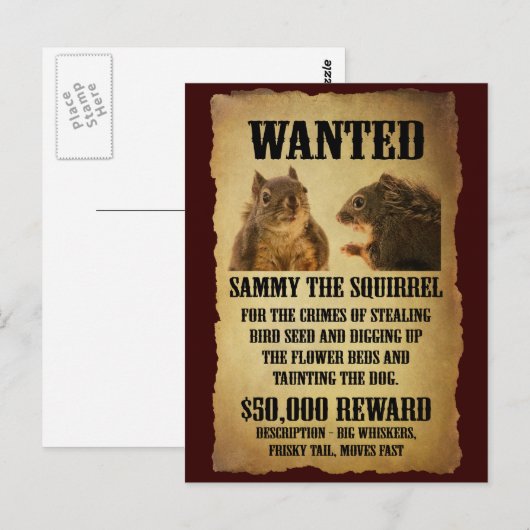 Gezocht Poster met eekhoorn Briefkaart (Voorkant / Achterkant)
