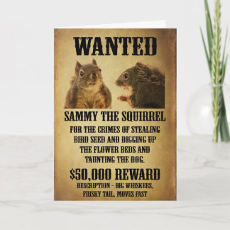 Gezocht Poster met eekhoorn Kaart