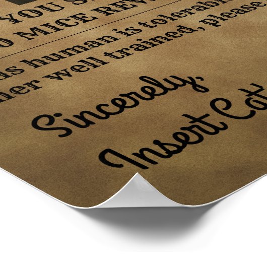  Gezocht Poster Ontworpen door uw kat (Hoek)