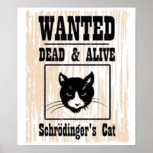 Gezocht Schrodinger's kat Poster (Voorkant)
