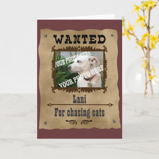 Gezocht sjabloon voor aangepaste foto Wilde West P (Gele Bloem)