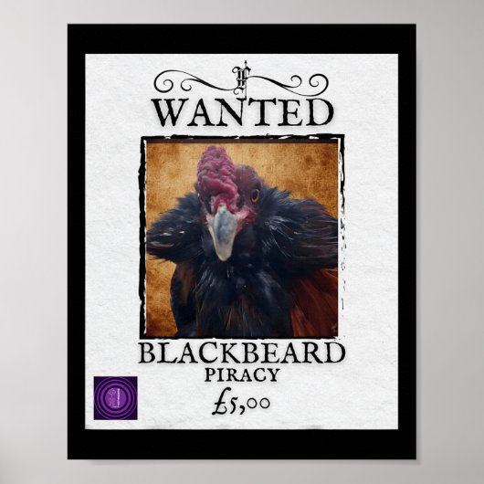Gezochte Blackbeard Kip Grappige Piraat Poster Ont (Voorkant)