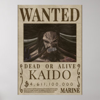 Gezochte bounty van KAIDO kaido Poster