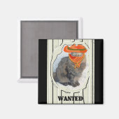 Gezochte kat magneet (Voorkant / Achterkant)