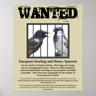 Gezochte Starling en House Sparrow Poster