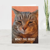 Gezond Worden Chagrijnige Ongeduldige Kat Kaart (Voorkant)