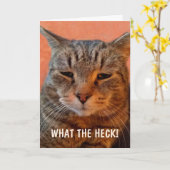 Gezond Worden Chagrijnige Ongeduldige Kat Kaart (Gele Bloem)