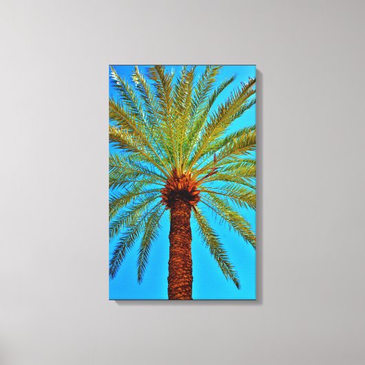 gezonde datumboom canvas afdruk (Voorkant)