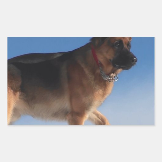 Gezonde en Happy German Shepherd Dog Rechthoekige Sticker (Voorkant)