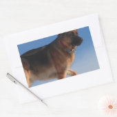 Gezonde en Happy German Shepherd Dog Rechthoekige Sticker (Envelop)