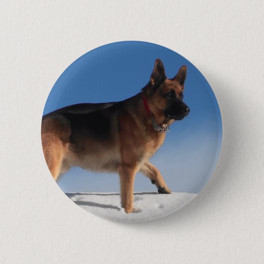 Gezonde en Happy German Shepherd Dog Ronde Button 5,7 Cm (Voorkant)
