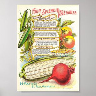 Gezonde kleurrijke Veggies  zeepakket Poster
