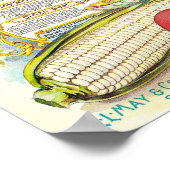 Gezonde kleurrijke Veggies  zeepakket Poster (Hoek)