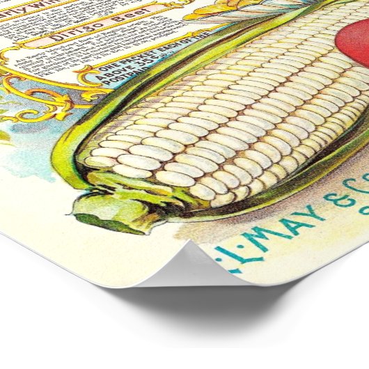 Gezonde kleurrijke Veggies  zeepakket Poster (Hoek)