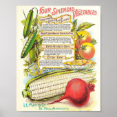 Gezonde kleurrijke Veggies  zeepakket Poster (Voorkant)