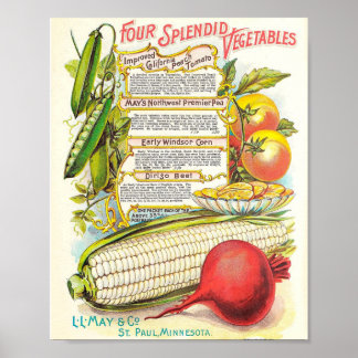 Gezonde kleurrijke Veggies  zeepakket Poster