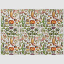 Gezonde levende groenten