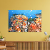 Gezonde rifstructuur, Nationaal Park Komodo Canvas Afdruk (Insitu (Woonkamer))