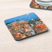 Gezonde rifstructuur, Nationaal Park Komodo Drankjes Onderzetter (Linkerzijde)