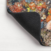 Gezonde rifstructuur, Nationaal Park Komodo Muismat (Hoek)