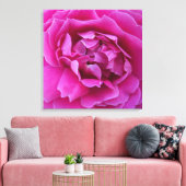 Gezonde roos op canvas print (Insitu (Woonkamer))