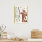 Gezonde ruggengraat, sterk lichamelijk Poster (Keuken)