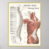 Gezonde ruggengraat, sterk lichamelijk Poster (Voorkant)