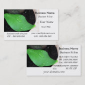 Gezonde Visitekaartje (Voorkant / Achterkant)