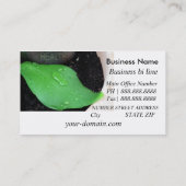 Gezonde Visitekaartje (Achterkant)