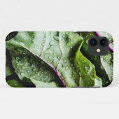 Gezonde vruchten Case-Mate iPhone case (Achterkant (horizontaal))