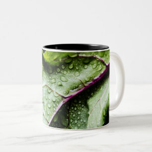 Gezonde vruchten tweekleurige koffiemok