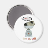 Gezondheid van cavia's magneet (Voorkant / Achterkant)