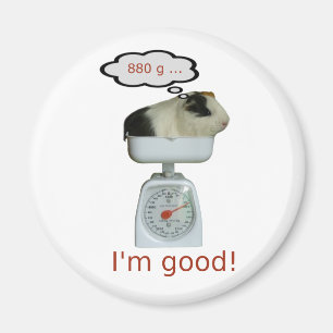 Gezondheid van cavia's magneet