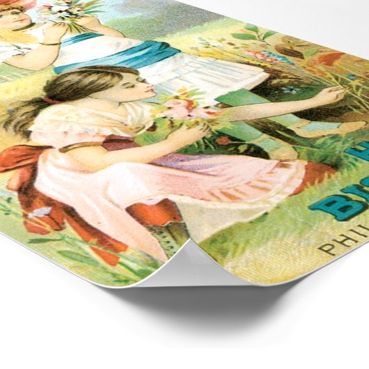  gezondheidsbiscuit poster (Hoek)