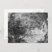 Gezondheidsstructuur in zwart-wit briefkaart (Voorkant / Achterkant)