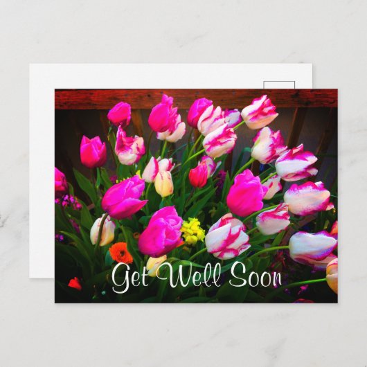 Gezondheidswensen met Kerstmis Droom en Affaire #1 Briefkaart (Voorkant / Achterkant)