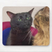 Gezoneerde Cat Meme-Muismat Muismat (Voorkant)