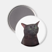 Gezoneerde Cat mememagnet Magneet (Voorkant / Achterkant)