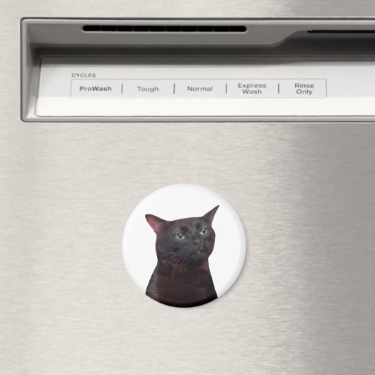 Gezoneerde Cat mememagnet Magneet (Insitu (Vaatwasser))